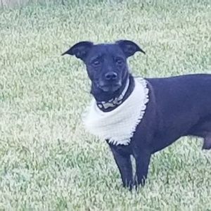 Meet your Posher, Christina